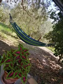 Casa Vacanze Magistro - Image 4