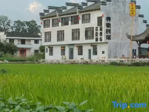 Xunhui · Hui Vista · Lakeside & Countryside Retreat - Image 5