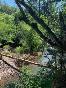 Pousada Costão Da Serra - Image 2