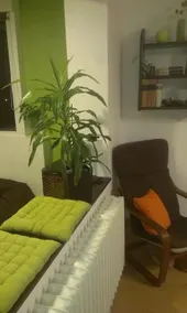 Green Apartment - Image 4