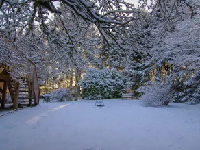 Forestside Escape Near Lake - Image 5