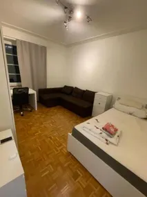 Heart of Basel , River Side entire apartment - Image 4