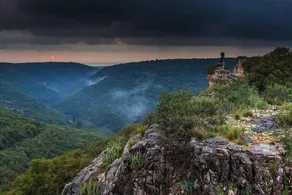 Tzlil Monfort - Image 2