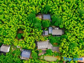Houwu Life · Moganshan Resort Homestay - Image 5