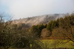 Haute Dône, een vakantiehuis met 2 slaapkamers, rust en natuur - Image 3