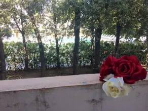 Hotel Ristorante Palace - Image 3