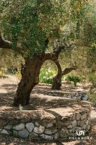 Villa Nora - Image 3