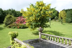 Trelaske Hotel & Restaurant - Image 4