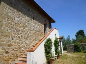 Canaiolo - Image 3