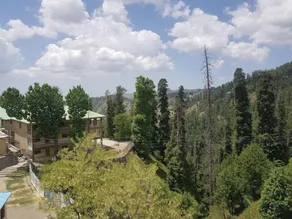 K. INTERNATIONAL HOTEL - Image 4