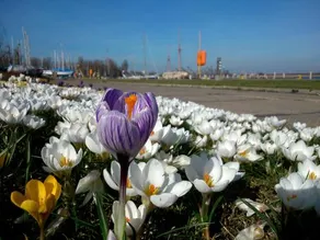 Camping Marina - Image 2