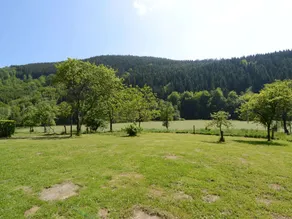 Well kept gite, short distance from the river and forest. - Image 4