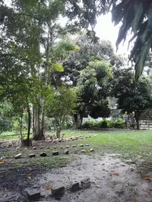 Fazenda Do Inga - Image 5