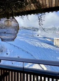 the NEST flims - Image 4