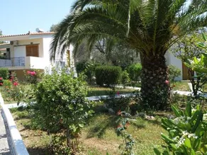 Petit Village - Image 5