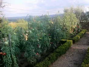 La Bastide Des Anges - Image 2