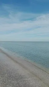 Real - Image 3