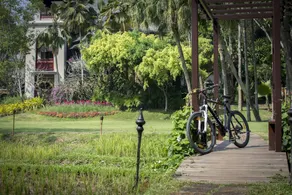 Lana Thai Villa Hotel Chiang Mai - Image 2