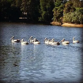 Swan Valley Sisters - Image 2