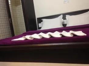 Hotel Sai Villa - Image 2