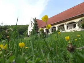Schotti Vendégház - Image 3