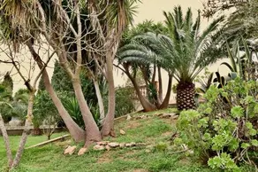 Finca Randa, Llucmayor, bis 3 SZ, Pool, Garten - Image 5