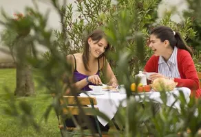 Gastehaus & Weingut Aigner - Image 4