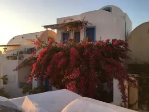 Evilio Houses - Image 5