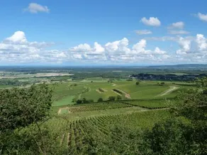 Le Haut De Collonge - Image 2