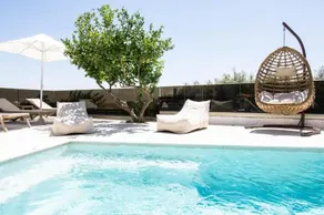 Olive Tree - Image 5