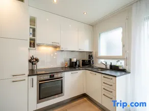Modern Swiss Apt | spacious garden + parking - Image 4