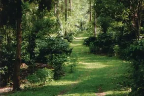 Indeco Lake Forest - Image 5