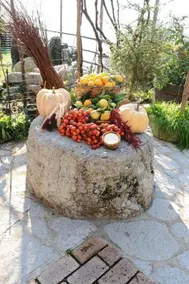 Agriturismo Serafina - Image 5