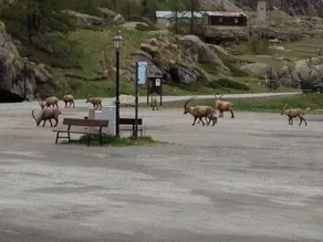 Hotel Gran Paradiso - Image 2