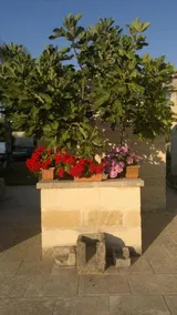 Masseria Grande - Image 2