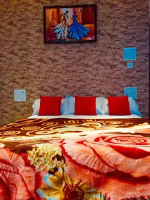 Hotel Vidhata Palace - Image 2