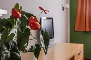 Hotel Veter - Image 2