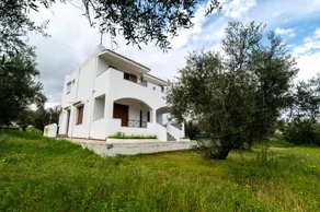 Uliveto 3bd Rustic House - Image 2