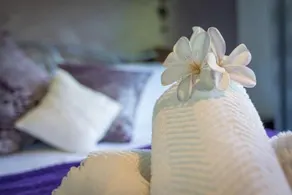 Rendezvous on Tamborine - Image 2