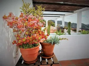 Holiday Home Tranquilidad - Image 2