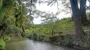 Lovedale Red Gum Cottage - Image 5