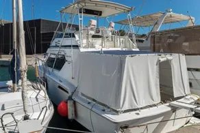 Boat hotel and tours - Image 4