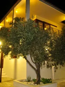 Xanemos Villa - Image 4