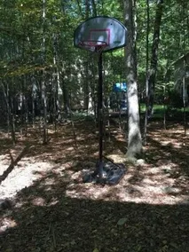 Woodland Retreat - Image 3