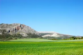 Cortijo Pulgarín Bajo - Image 2