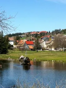 Schonachblick - Image 5