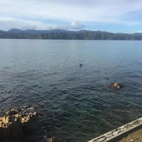 Karaka Bays - Image 3