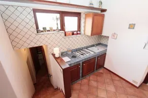 Il pino e la rosa - Image 4