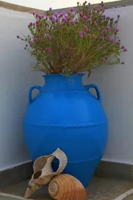 Violetta - Image 5