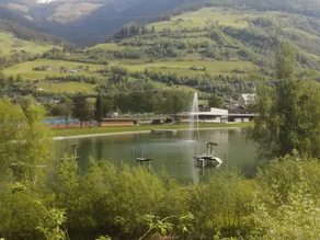 Apartment in Niedernsill Near Ski Slopes - Image 5